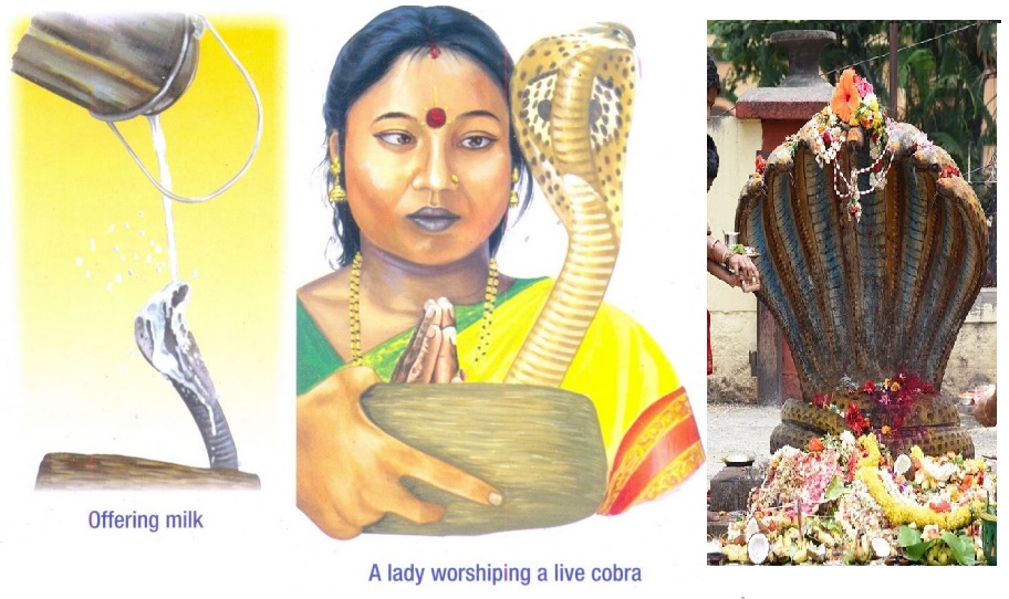 Nag Panchami